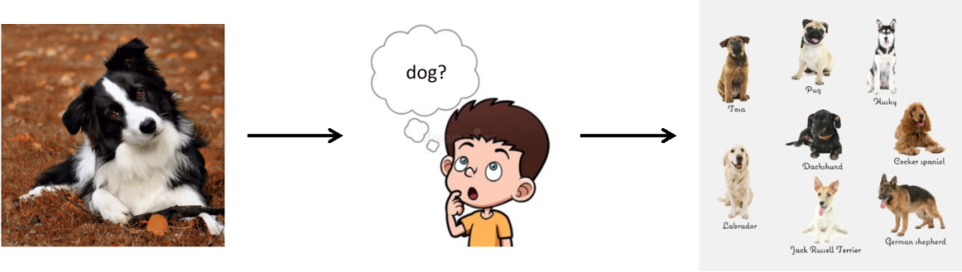 引入全新的GIF框架:以人类为榜样,数据集扩增的新范式已经到来