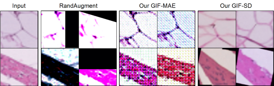 引入全新的GIF框架:以人类为榜样,数据集扩增的新范式已经到来