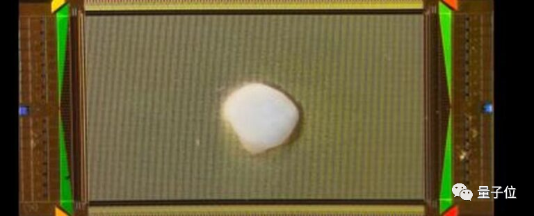 用活人脑细胞造AI系统！语音识别已成功，可无监督学习