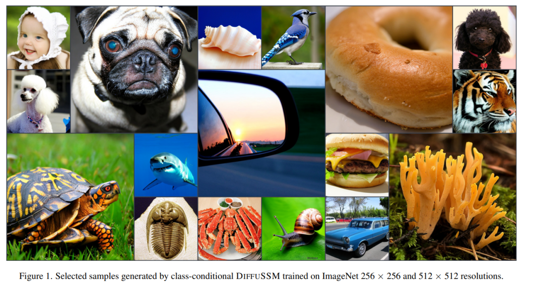 Mamba带火的SSM受到苹果和康奈尔的关注：抛弃注意力分散模型