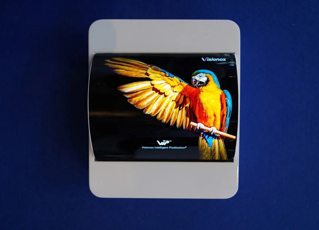 ViP AMOLED 量产项目首次成功点亮模组,屏幕大小和刚柔兼备