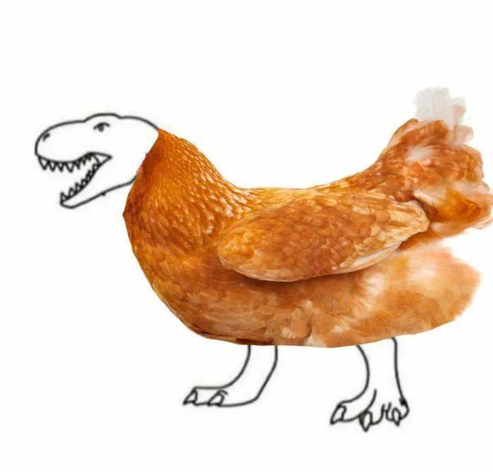 20位天才设计师:展示人类无可替代的艺术创造力!