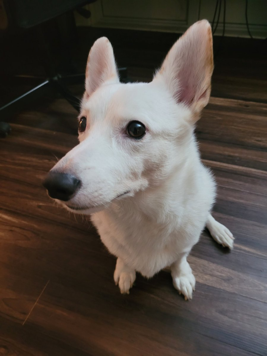 Midjourney V6迎来大升级：网友惊呼生成效果太逼真