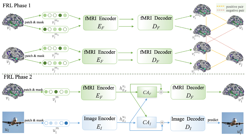 NeurIPS23｜视觉 「读脑术」：从大脑活动中重建你眼中的世界
