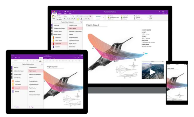 微软公告：从2023年11月开始，停止支持 OneNote for Windows 10 的翻译功能