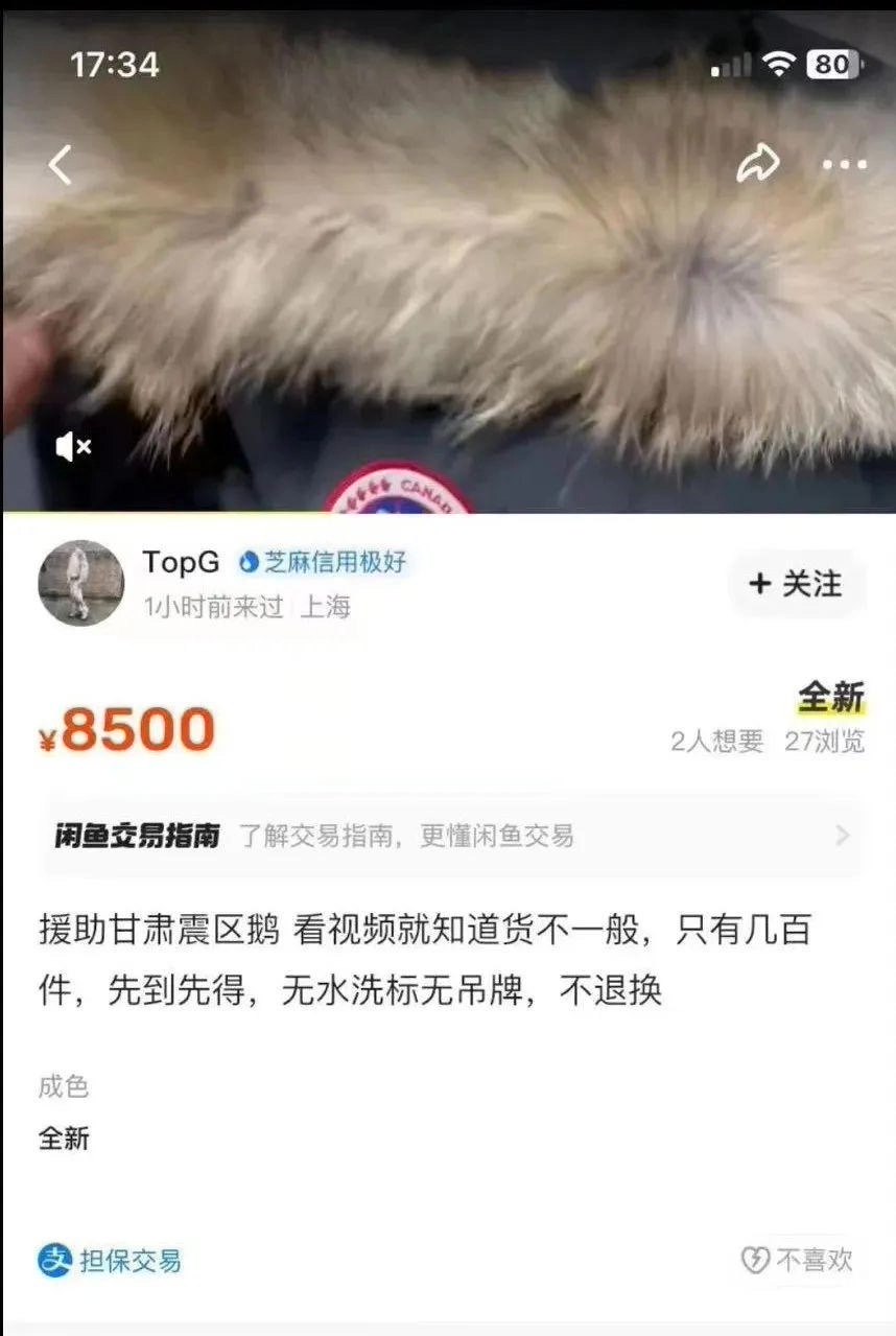 加拿大鹅援助甘肃震区物资被倒卖为谣言,造谣者已被刑事拘留