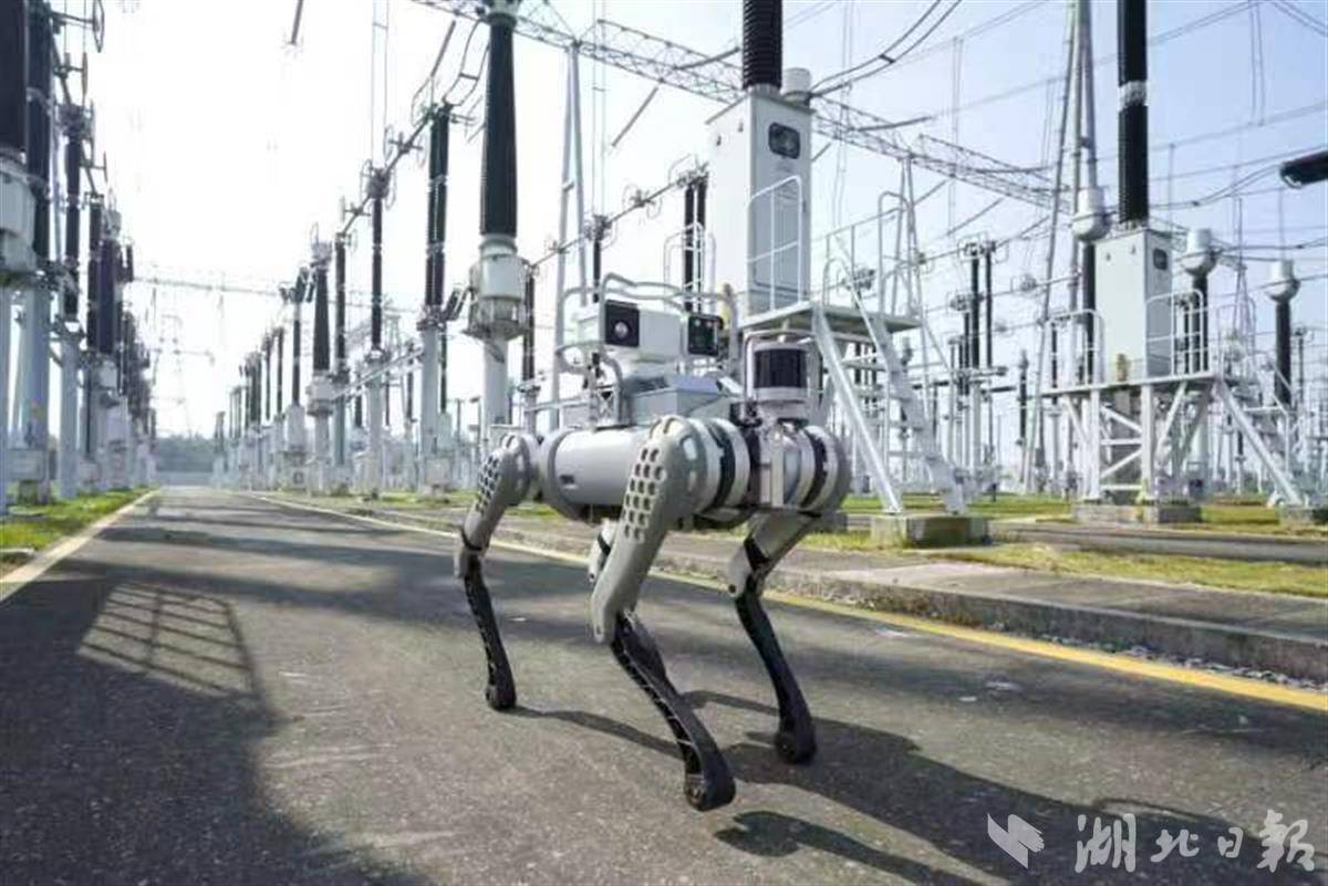 首次用于湖北主网 电力巡检机器狗上岗