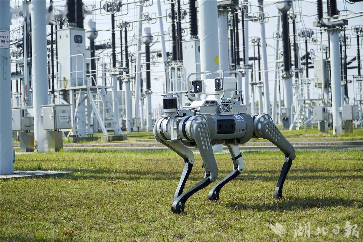 湖北首次引入电力巡检机器狗落地运行