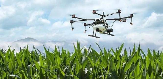 无人机执照申请的费用是多少？