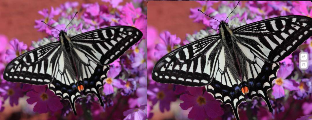 deepin 推出“看图 AI 插件”,支持设备端图像上色等 8 大功能