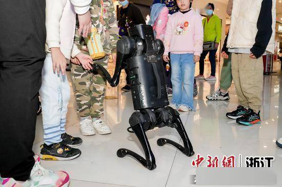 AI黑科技展在绍兴举办，