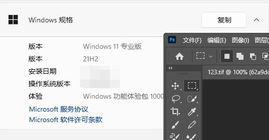 Win11系统中，是否兼容PS CS5？
