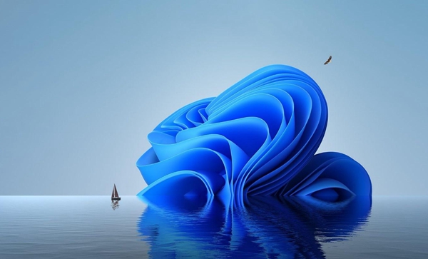 win11网络连接不显示wifi选项怎么解决