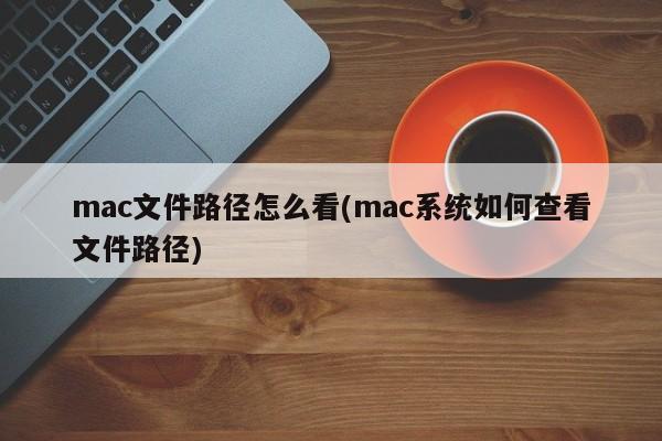 mac文件路径怎么看(mac系统如何查看文件路径)