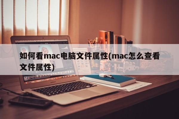 如何看mac电脑文件属性(mac怎么查看文件属性)