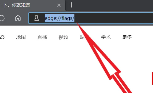 使用win10自带浏览器edge打开网页缓慢