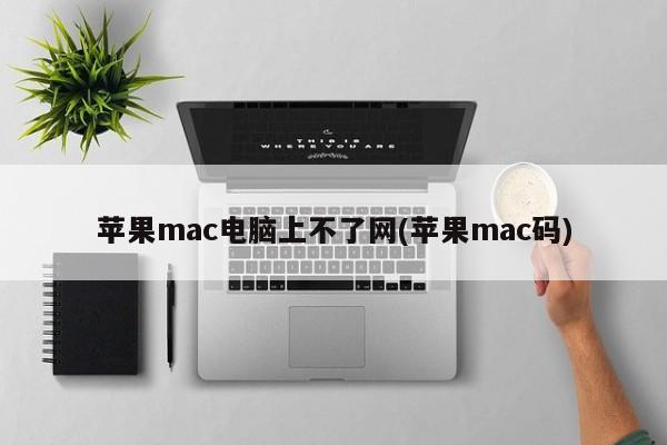 苹果mac电脑上不了网(苹果mac码)
