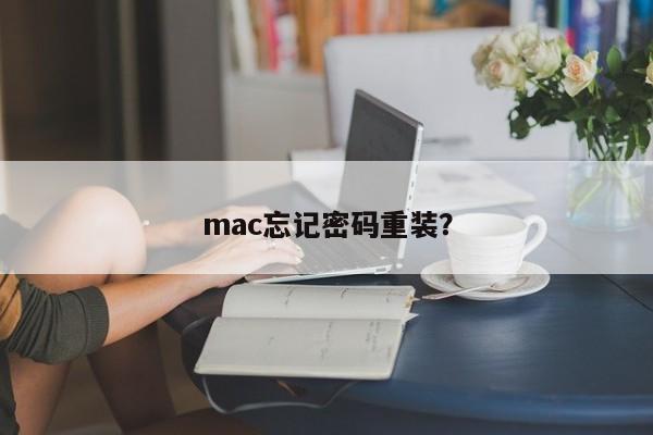 mac忘记密码重装？
