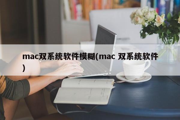 模糊你的Mac双系统(mac双系统模糊软件)