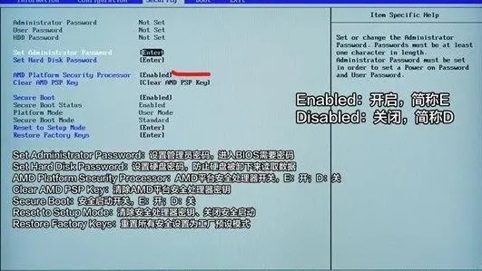 Win11系统升级教程：pro5的升级指南