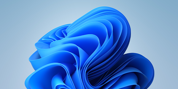 Win11 KB5016691更新的更新详情