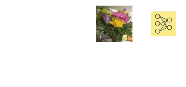 谷歌DeepMind最新研究:对抗性攻击对人类也有效,人类和AI都会把花瓶认成猫!