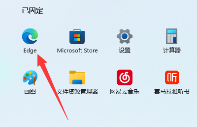 win11edge浏览器播放视频出现绿屏问题