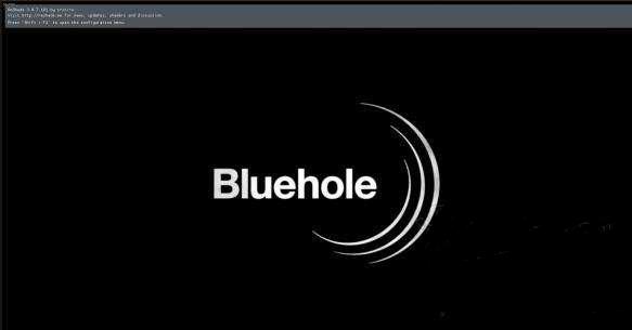 如何在Windows 10上使Reshade兼容