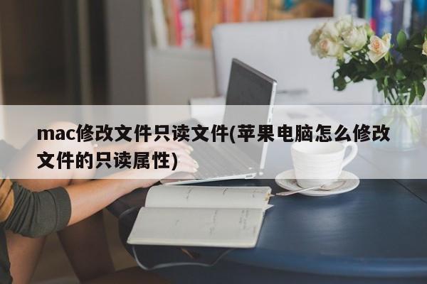 如何在Mac上修改文件的只读属性
