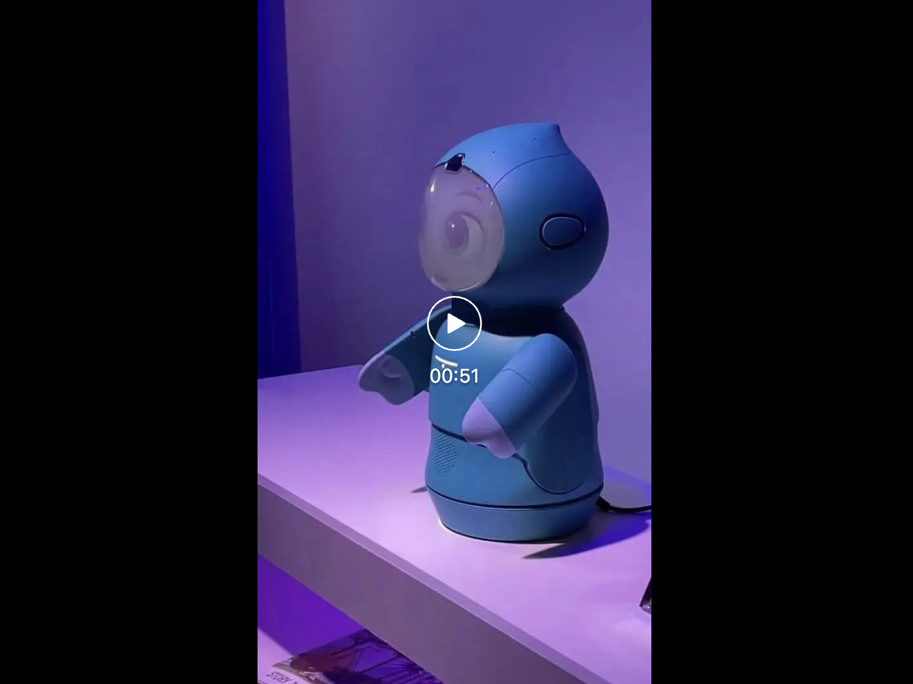 完蛋,CES 2024被机器人包围了