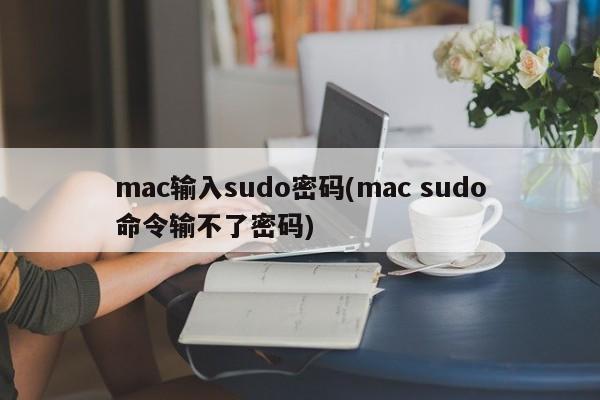 解决Mac无法在sudo命令中输入密码的问题