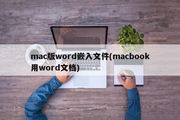 在MacBook上使用Word文档时的文件嵌入操作