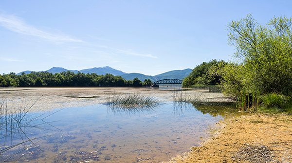 Python程序的批量打包工具实现