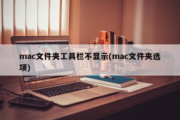 mac文件夹中的选项未在工具栏中显示