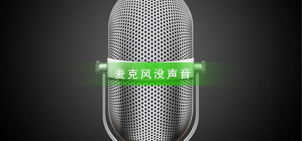 如何调整麦克风的声音设置？