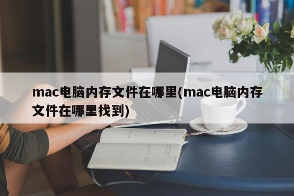 如何在mac电脑上找到内存文件