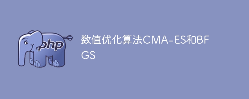 CMA-ES与BFGS：数值优化算法的比较