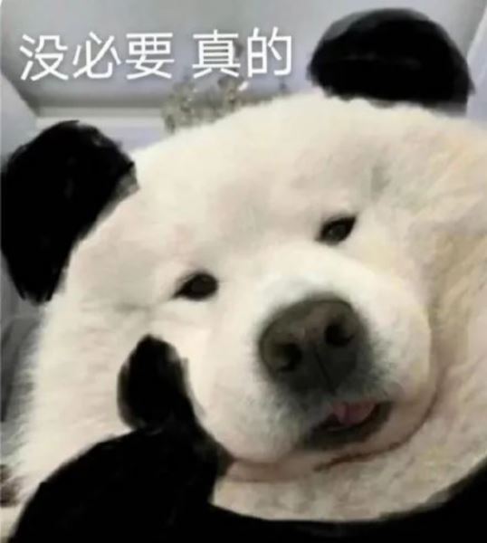 概念版Windows12上机，已是果子的形状了