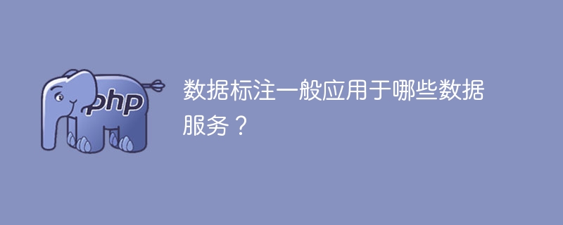 数据标注一般应用于哪些数据服务？