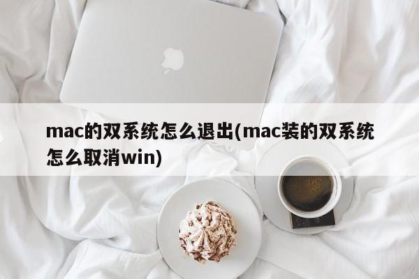 mac的双系统怎么退出(mac装的双系统怎么取消win)