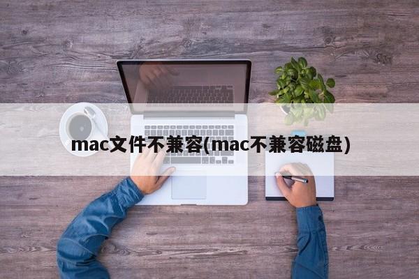 mac系统无法读取磁盘文件