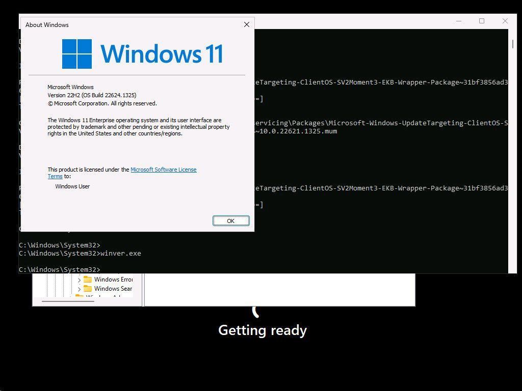 Win11 Moment 3 暴露新照片：增加RGB灯效控制等功能