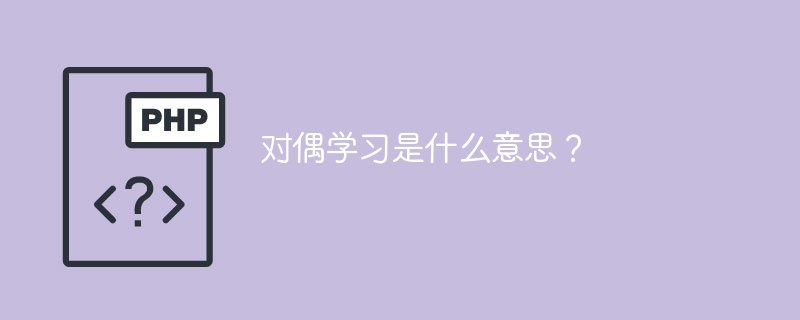 对偶学习是什么意思？