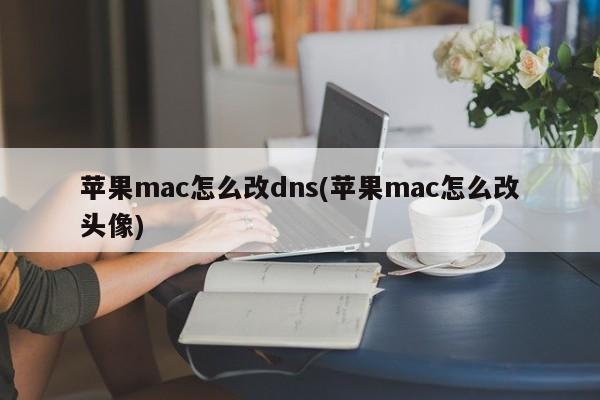 苹果mac怎么改dns(苹果mac怎么改头像)