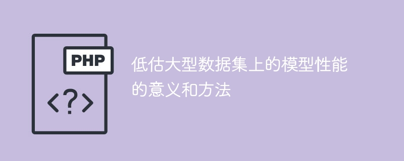 了解和评估大规模数据集上模型性能的重要性和途径