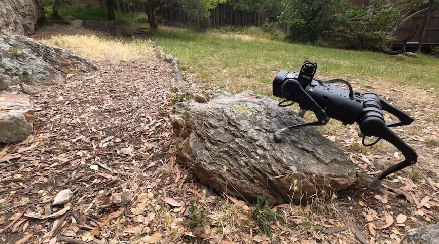 低成本机器人：解决各类障碍的科技利器