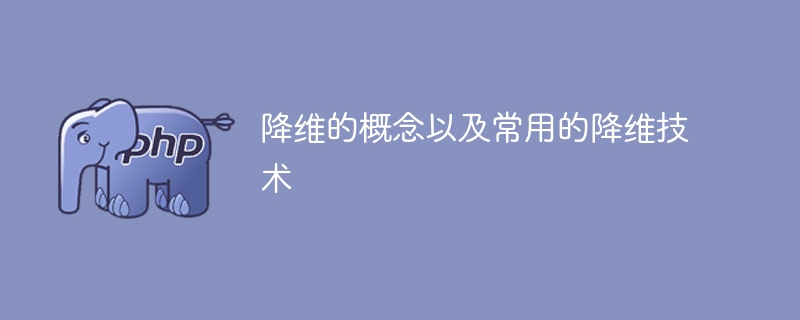 常见的降维技术及其定义