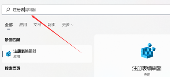 如何彻底关闭Win11系统中的网络搜索功能