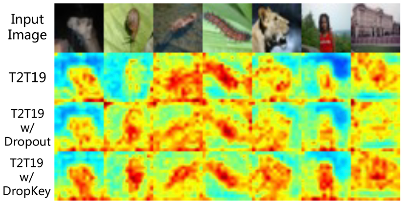 CVPR 2023｜两行代码高效缓解视觉Transformer过拟合，美图&国科大联合提出正则化方法DropKey
