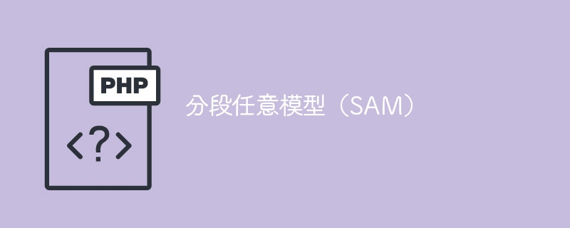 分段任意模型(SAM)